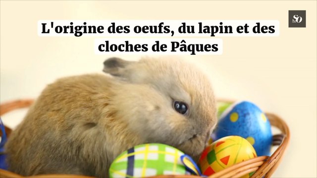 L'origine des oeufs, du lapin et des cloches de Pâques - Vidéo