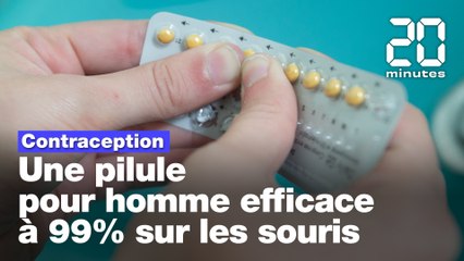 Contraception : Une pilule pour homme efficace à 99% sur les souris