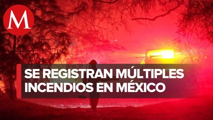 Incendio consume bosque de La Primavera, en Jalisco; hay un detenido