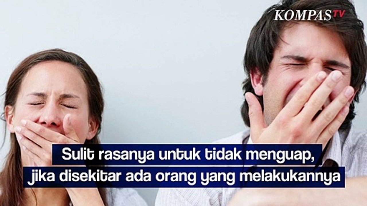 Kenapa Menguap Menular? Ternyata Gara-gara Ini