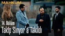 Takip, Sinyor'a takıldı - Mahkum 14. Bölüm