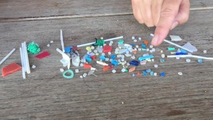 Warrnambool Standard - Nurdle hunting