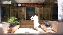 Doha hospital treats sick falcons and replaces damaged feathers
