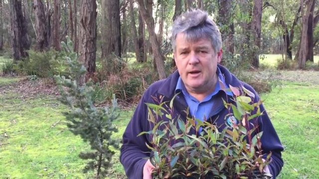 Warrnambool Standard: Healing and the Landscape event