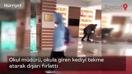 Okul müdürü, okula giren kediyi tekme atarak dışarı fırlattı