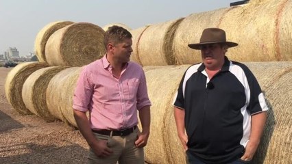 Warrnambool Standard - Fire relief hay run