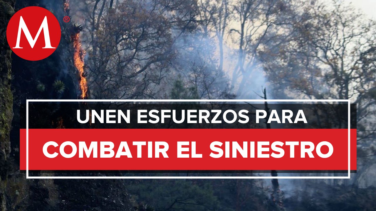 Más de 540 brigadistas participan en labores tras incendio en cerro del Tepozteco