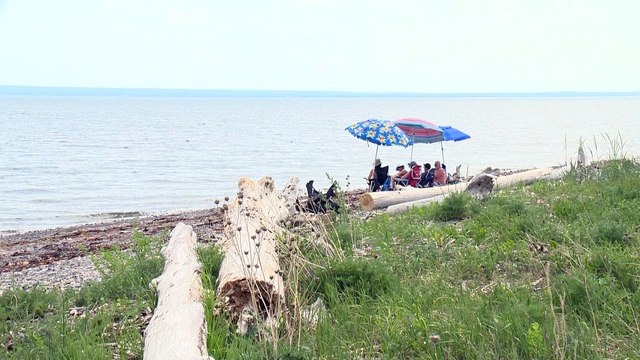 24 mars TOPO ND emploi ete besoin