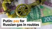 Putin demands 'unfriendly' countries pay for Russian gas in roubles