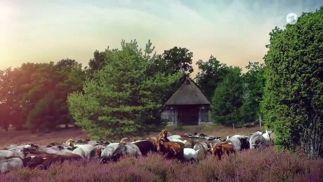 Rote Rosen Folge 3528