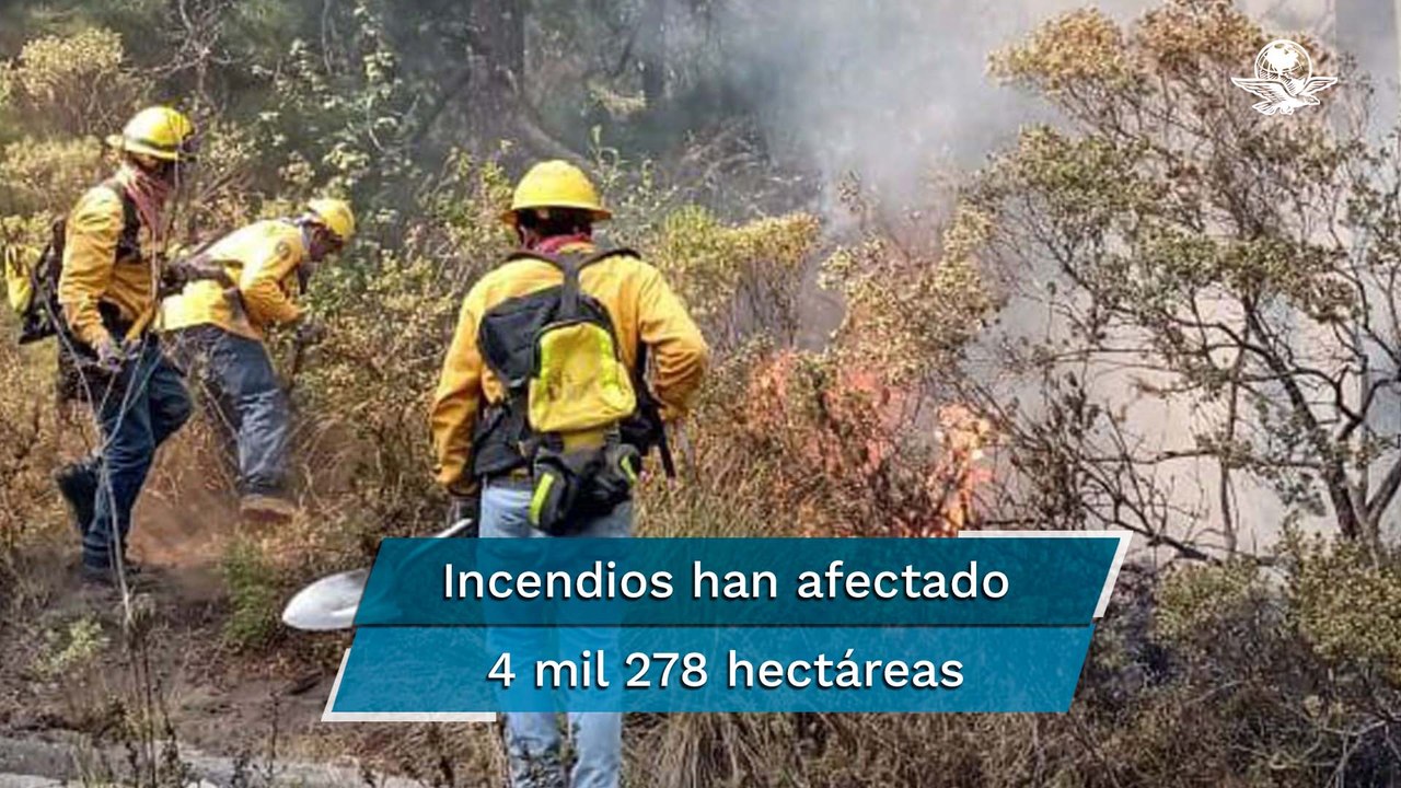En México suman 33 incendios forestales activos; hay 10 que tienen mayor riesgo