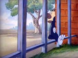 Tom ve Jerry 15 Bölüm