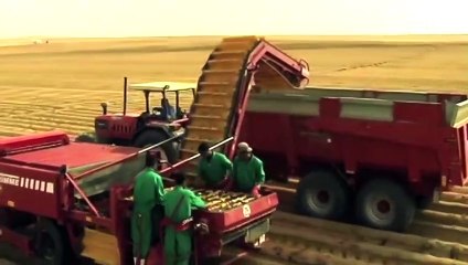 "عندنا مخزون القمح يكفي 4 شهور ومعندناش مشكلة بفضلك يارب".. الرئيس السيسي يطمئن الشعب المصري