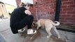Watch adorable pooches having a wash at The Dog Shower LDS