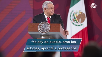 Gobierno no es destructor del medio ambiente: AMLO; Tren Maya será bueno para el sureste, dice