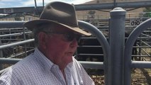 Glenn Lucas sold Angus cows and calves