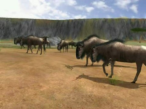 Safari Photo en Afrique : Dans la savane