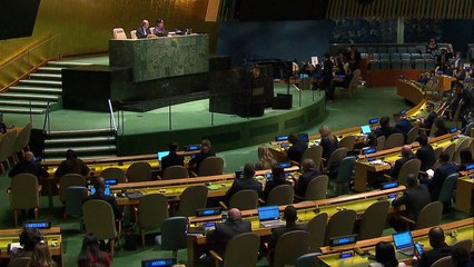 Assembleia da ONU pede 'fim imediato' das hostilidades na Ucrânia