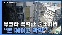 '우크라 사태 직격탄' 중소기업 '아우성' ...
