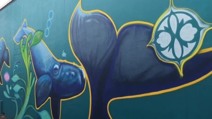 Warrnambool Standard Street art tours