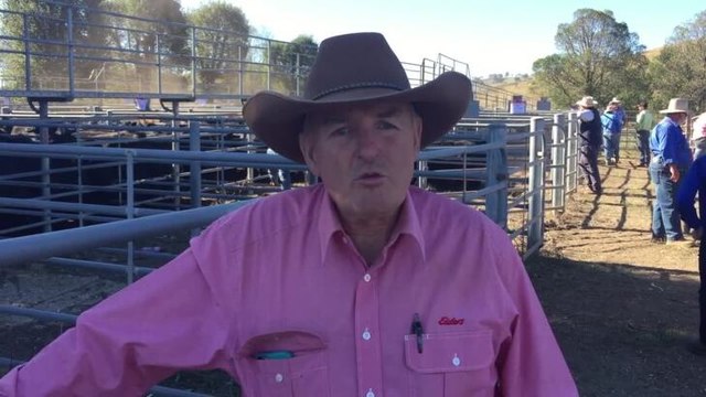 Chris Annetts Elders Adelong with sale report