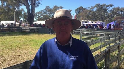 Peter Darmody at the yard dog trials