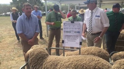 Steve Phillips opening the sale