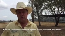 The Land: CTLX Weaner Sale