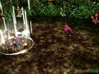 Jade Cocoon : Forêt et combats