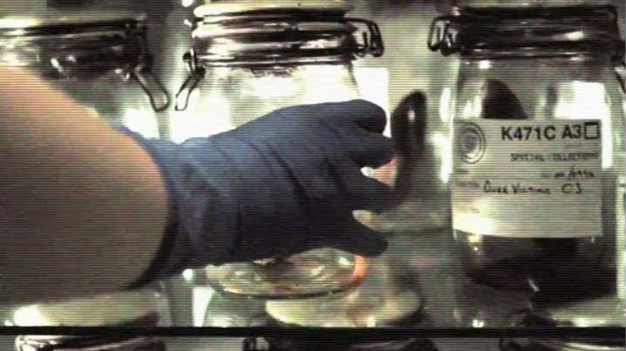 Duke Nukem Forever : Autopsie d'une victime