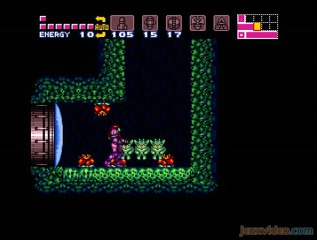Super Metroid : Les Etecoons
