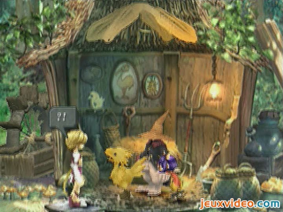 Final Fantasy IX : Les exilés