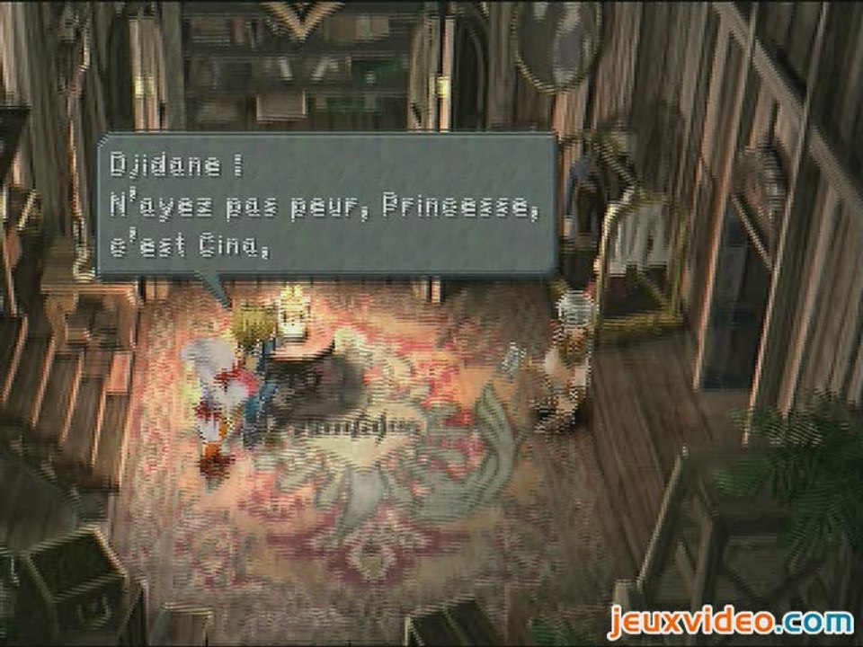 Final Fantasy IX : Le serment de Djidane