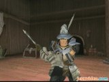 Final Fantasy IX : Versus Steiner