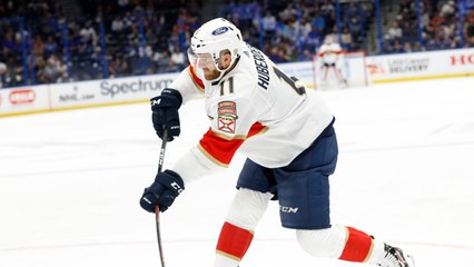 The Florida Panthers Can Win The Stanley Cup