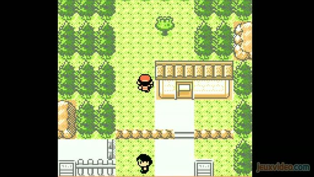 Pokémon Version Or : 1/3 : Une histoire de genre