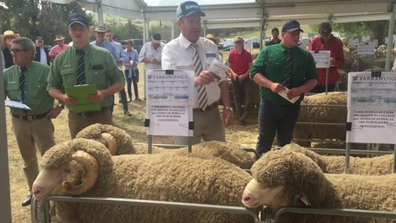 Bidding on the first pen
