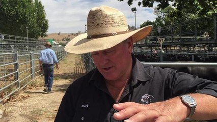 Mark Lucas after the sale