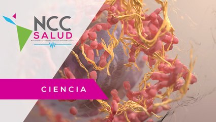 Omomyc: una proteína que sirve contra tumores primarios y metástasis