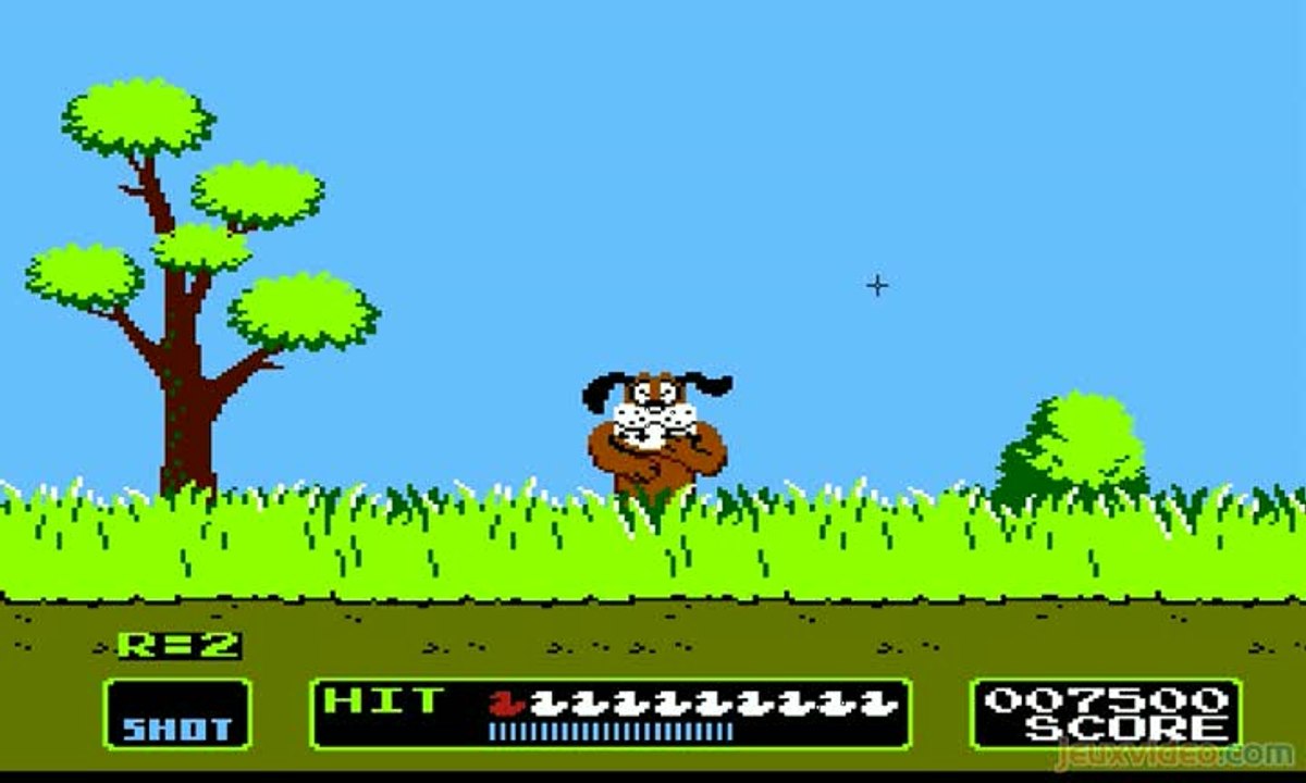 Duck Hunt : Des canards, un chien et un homme !