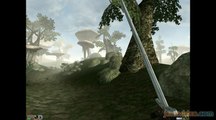 The Elder Scrolls III : Morrowind : 3/5 : En route pour l'aventure
