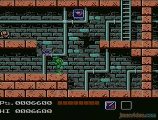Teenage Mutant Ninja Turtles :