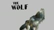 Black & White 2 : Animation des loups