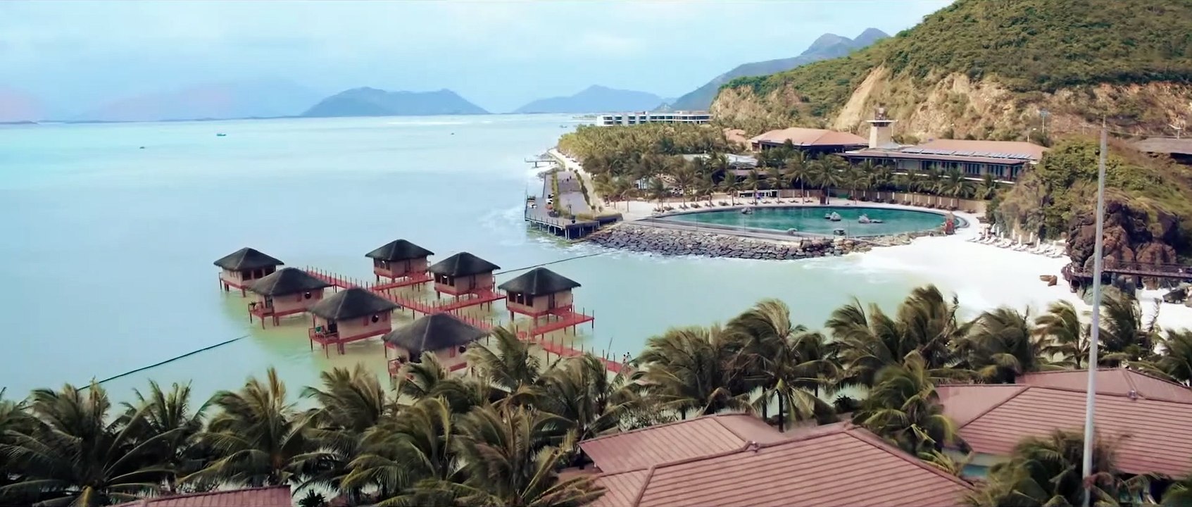 THE REQUIN DER HAI Film