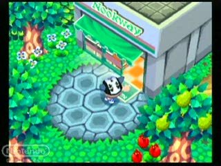 Animal Crossing : Gameplay