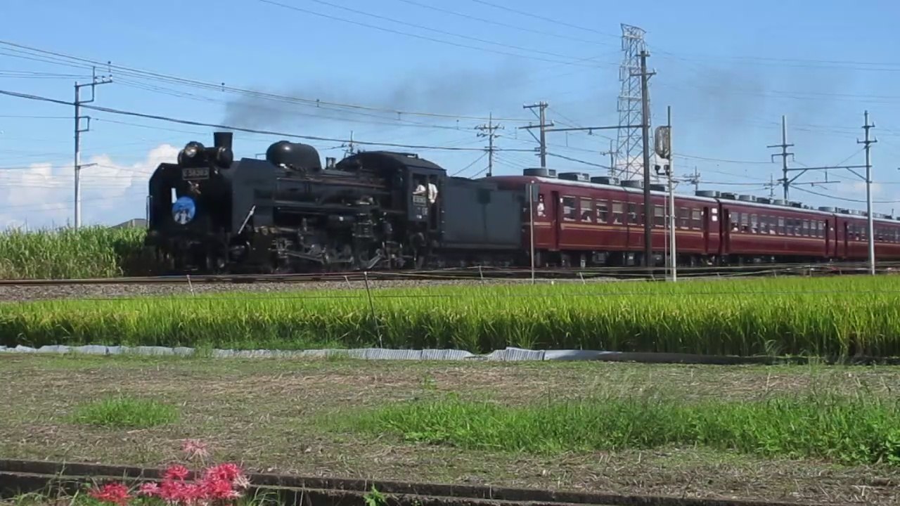 Japanese C58-363 with the Paleo express on the Chichibu main line near Nagata station 秩父本線のC58形363号は「SLパレオエクスプレス」と一緒に永田駅にあります