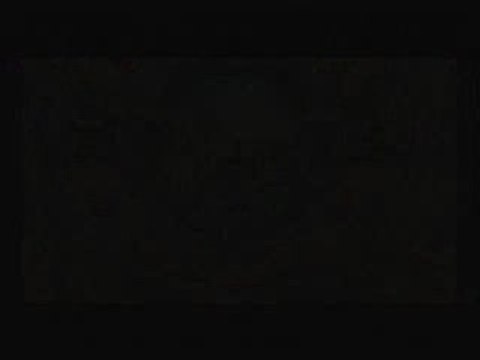 Aliens versus Predator 2 : Primal Hunt : Le retour des Xenomorphes