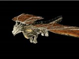 EverQuest II : Modélisation d'un dragon