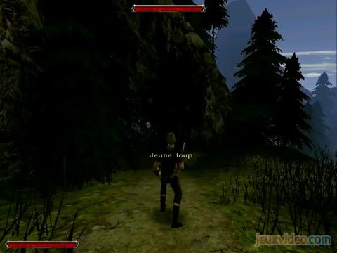 Gothic II : Le loup, le mouton et les gobelins