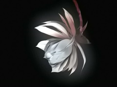 Valkyrie Profile : Introduction